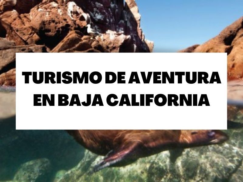 Descubre el turismo de aventura y naturaleza en Baja California